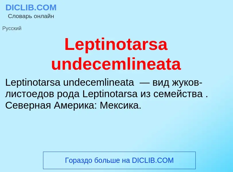 Что такое Leptinotarsa undecemlineata - определение