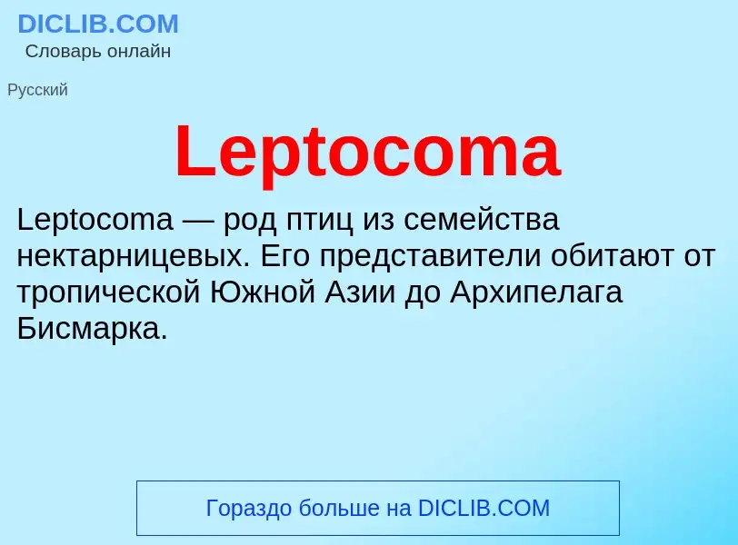 Что такое Leptocoma - определение