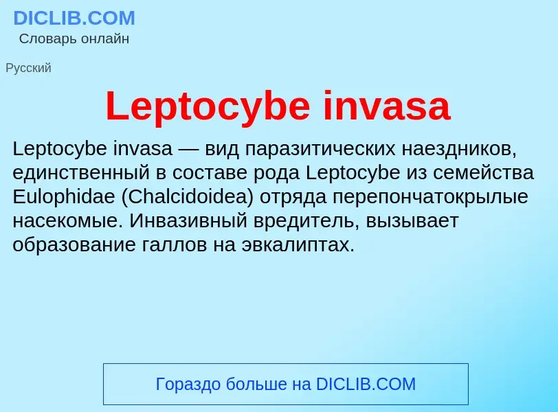 Was ist Leptocybe invasa - Definition