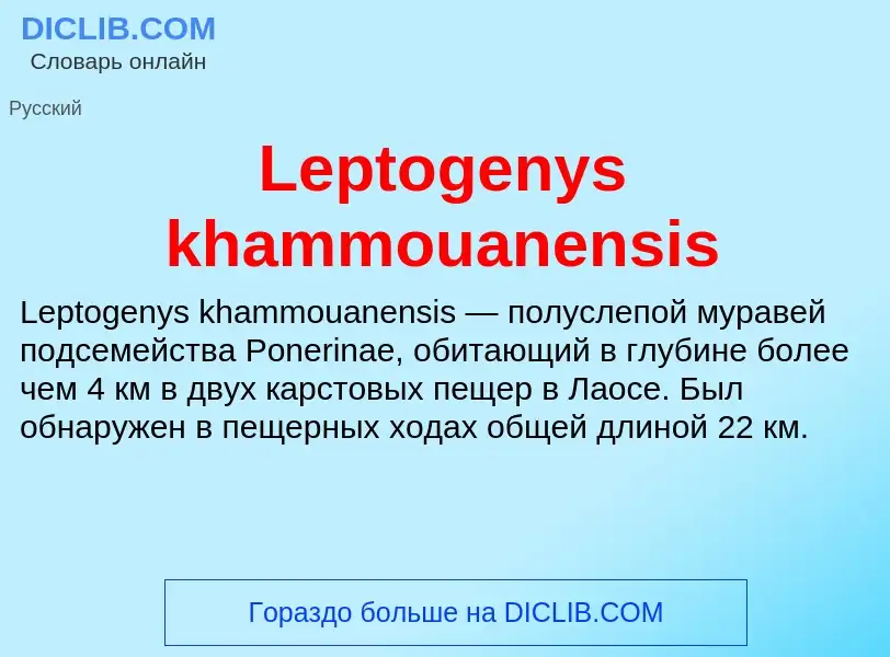 Was ist Leptogenys khammouanensis - Definition