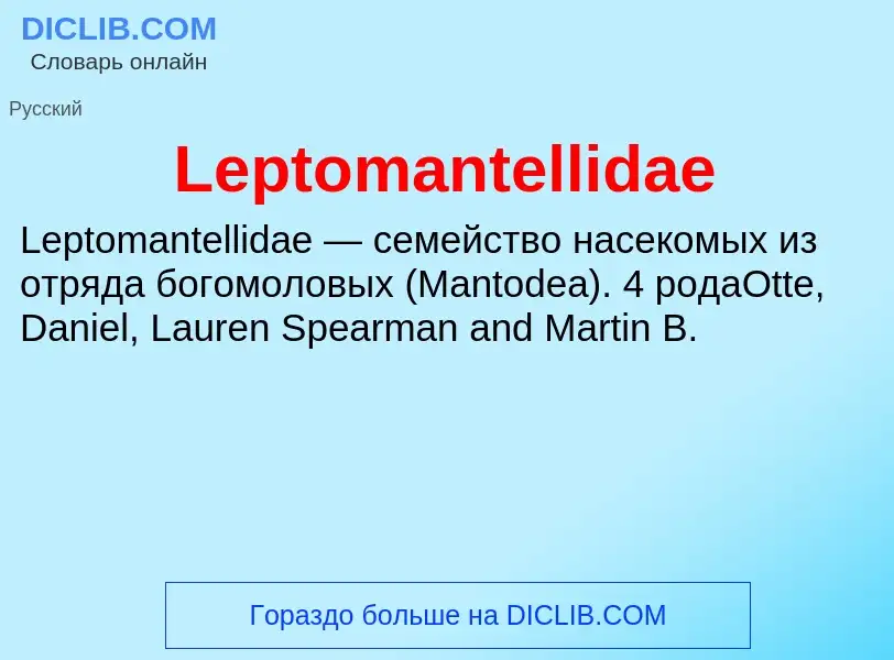 Was ist Leptomantellidae - Definition