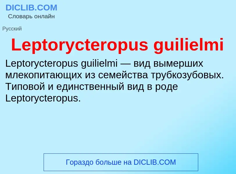 Was ist Leptorycteropus guilielmi - Definition