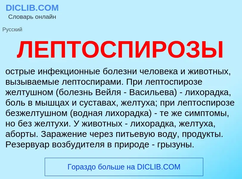 Wat is ЛЕПТОСПИРОЗЫ - definition