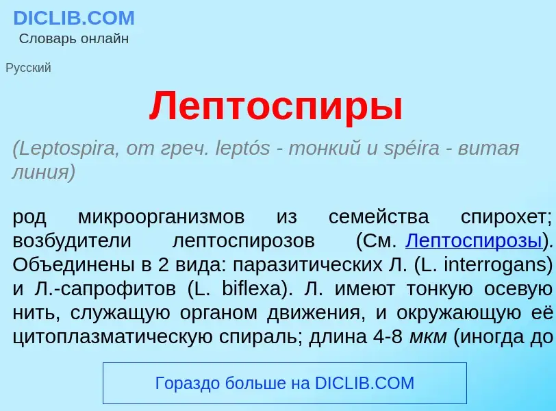 O que é Лептосп<font color="red">и</font>ры - definição, significado, conceito