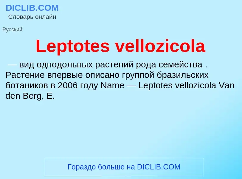 Was ist Leptotes vellozicola - Definition