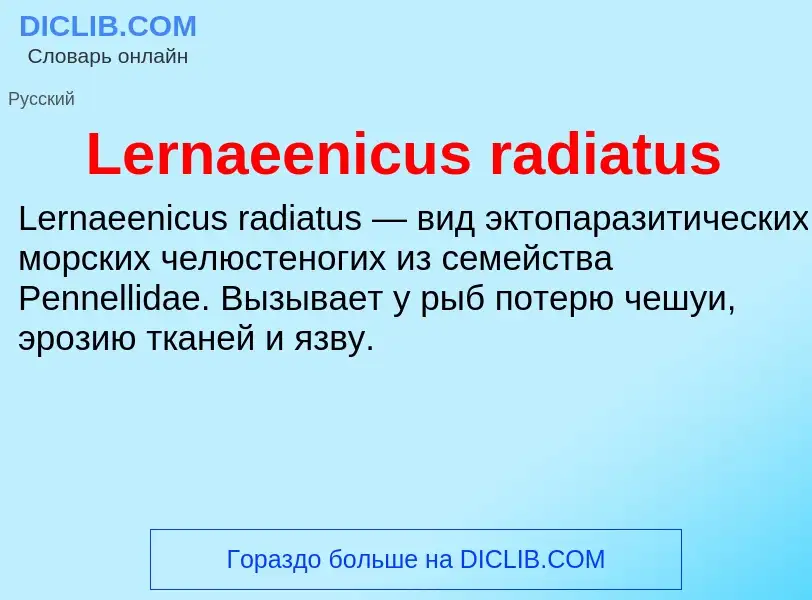 Was ist Lernaeenicus radiatus - Definition