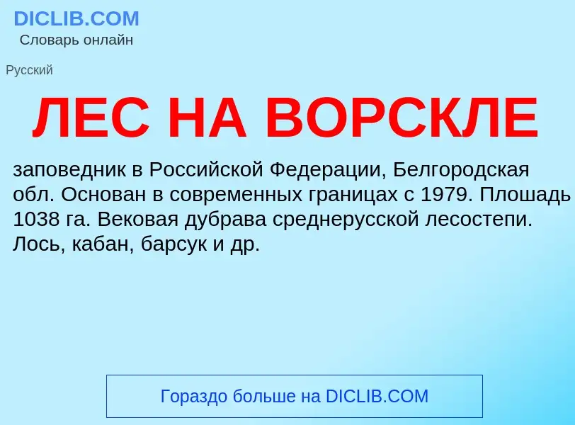 Was ist ЛЕС НА ВОРСКЛЕ - Definition