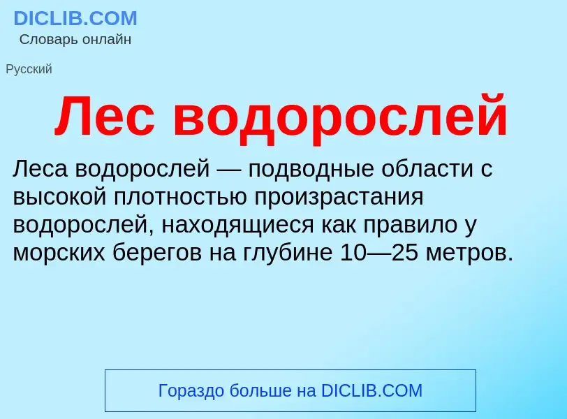 O que é Лес водорослей - definição, significado, conceito