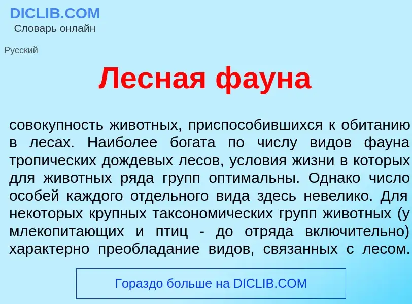 Что такое Лесн<font color="red">а</font>я ф<font color="red">а</font>уна - определение