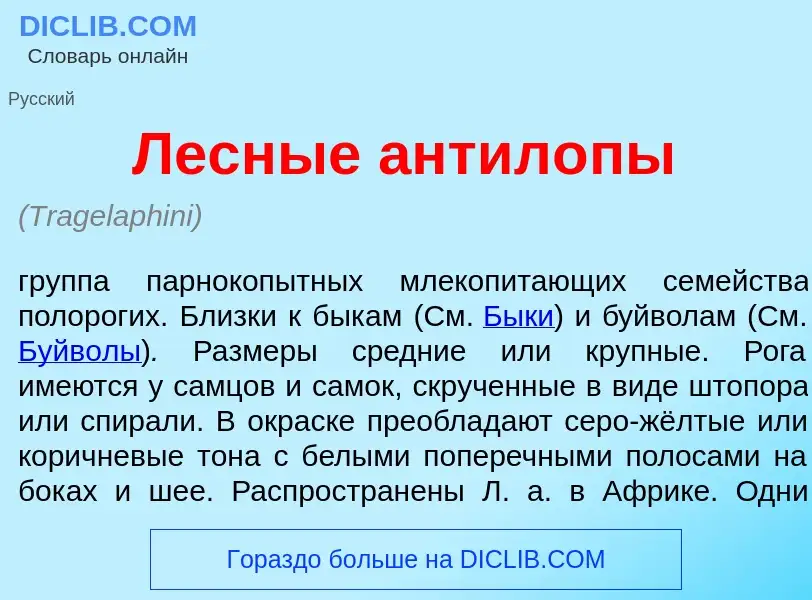 O que é Лесн<font color="red">ы</font>е антил<font color="red">о</font>пы - definição, significado, 