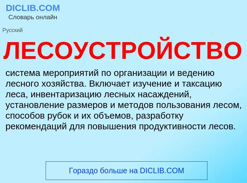 What is ЛЕСОУСТРОЙСТВО - meaning and definition