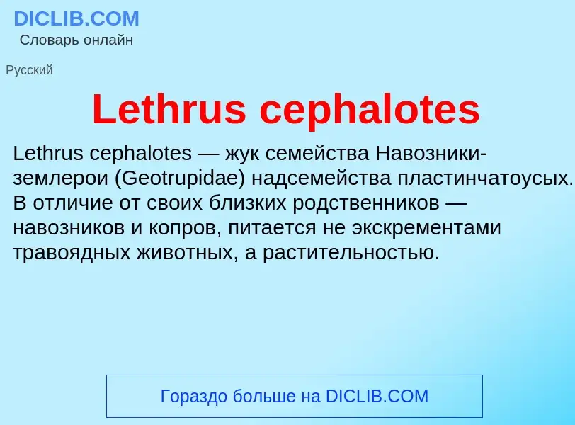 Was ist Lethrus cephalotes - Definition