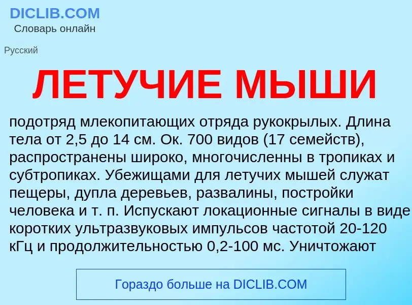 Что такое ЛЕТУЧИЕ МЫШИ - определение