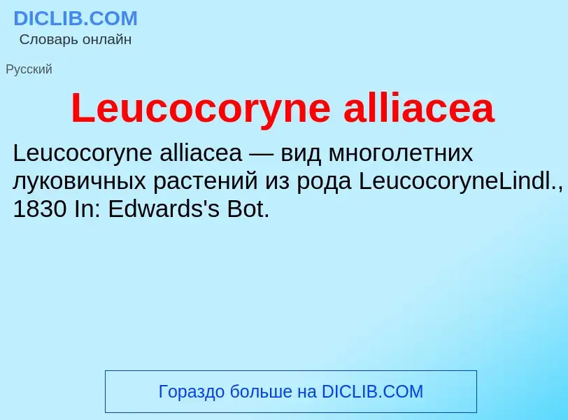 ¿Qué es Leucocoryne alliacea? - significado y definición