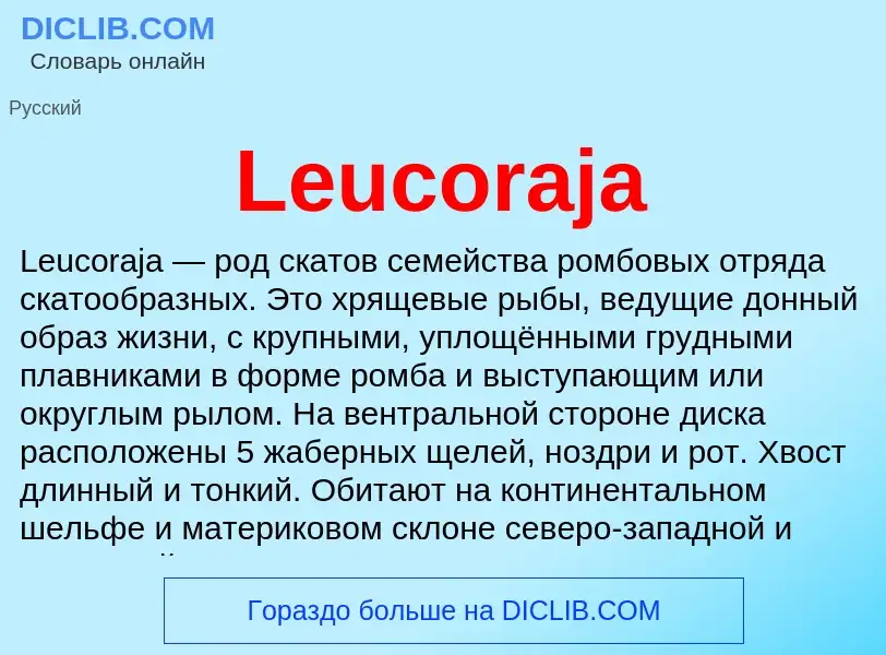 ¿Qué es Leucoraja? - significado y definición