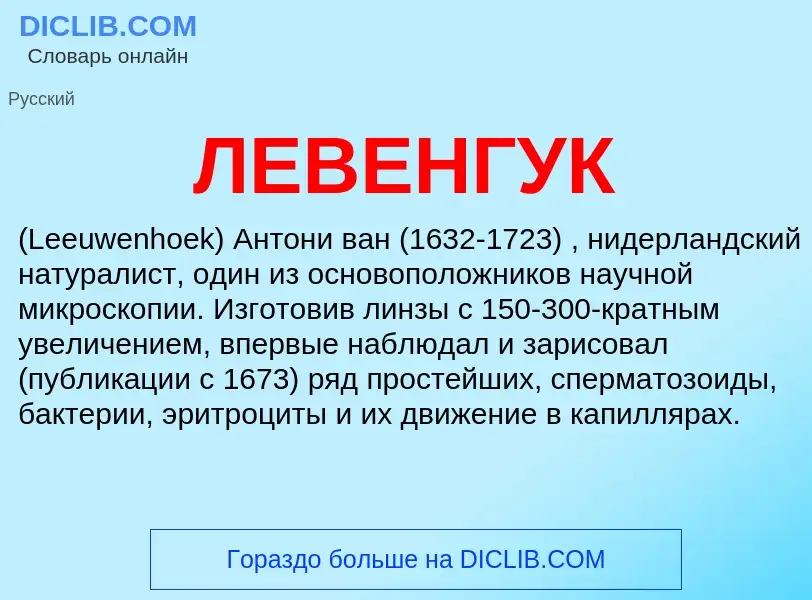 Wat is ЛЕВЕНГУК - definition