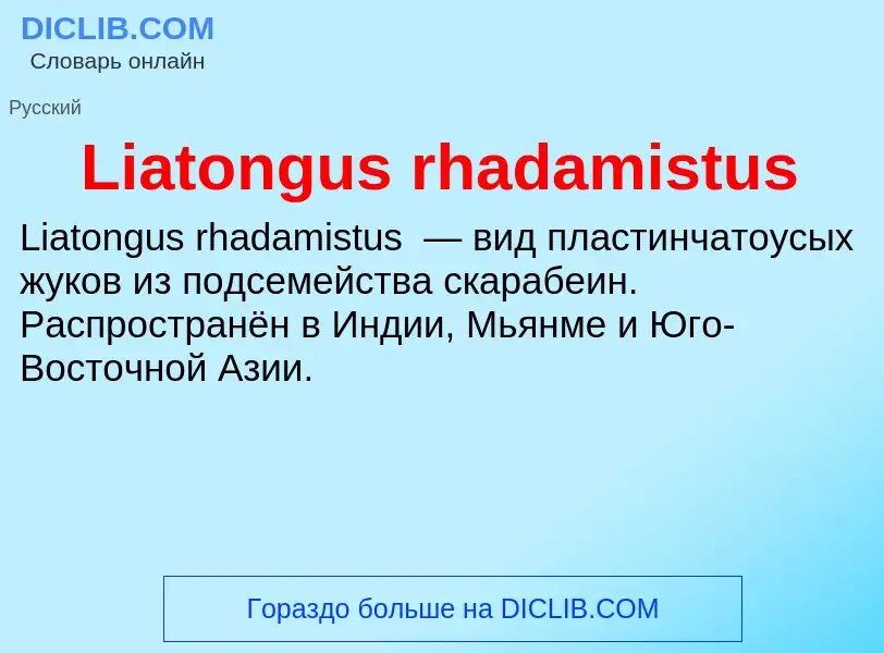 ¿Qué es Liatongus rhadamistus? - significado y definición