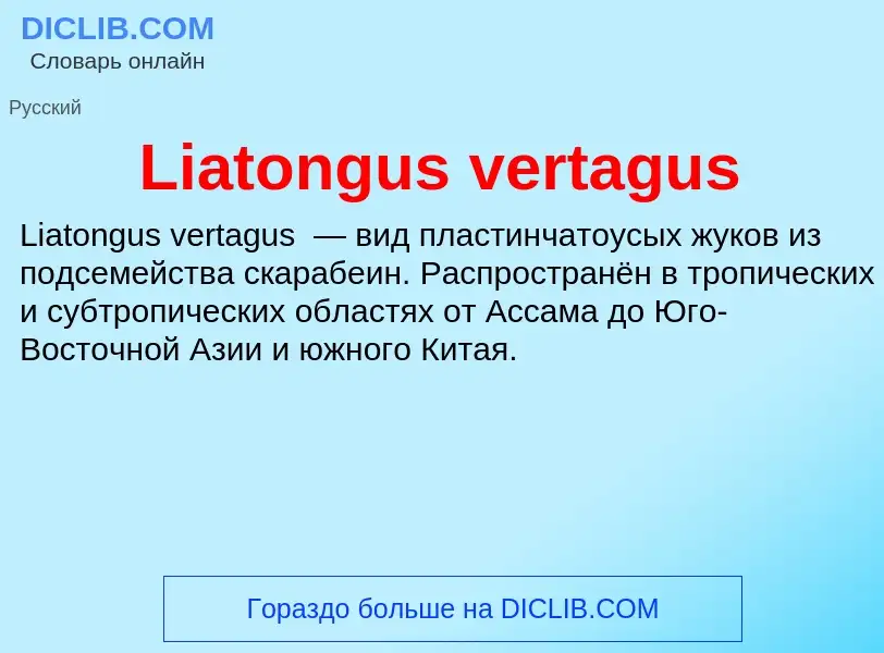 ¿Qué es Liatongus vertagus? - significado y definición