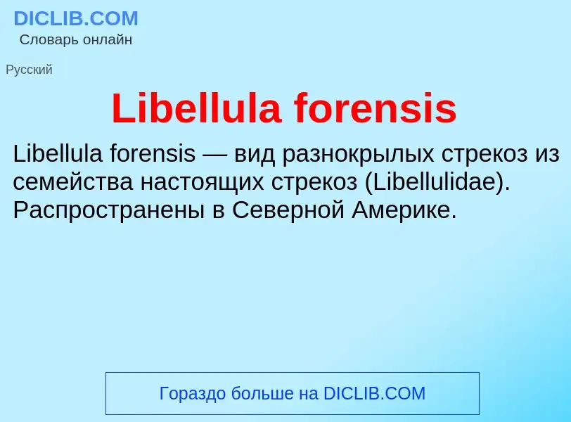 ¿Qué es Libellula forensis? - significado y definición