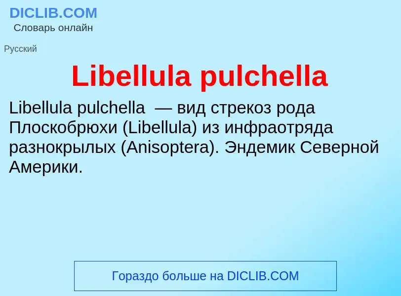 ¿Qué es Libellula pulchella? - significado y definición