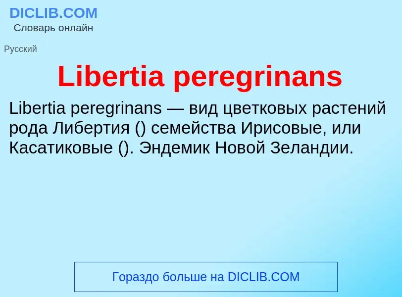 ¿Qué es Libertia peregrinans? - significado y definición