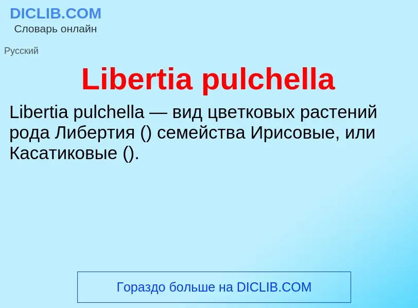 ¿Qué es Libertia pulchella? - significado y definición