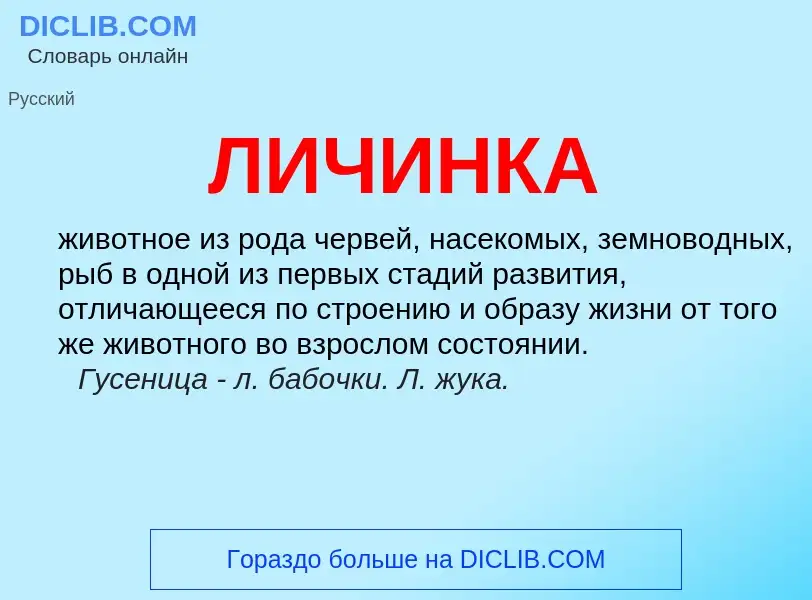 Wat is ЛИЧИНКА - definition