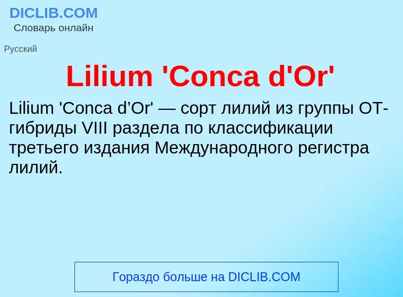 Was ist Lilium 'Conca d'Or' - Definition