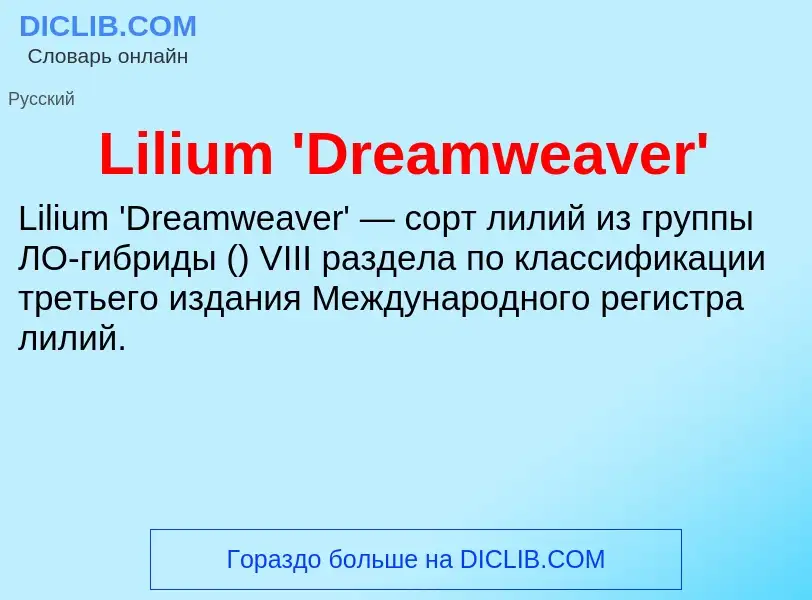 Was ist Lilium 'Dreamweaver' - Definition