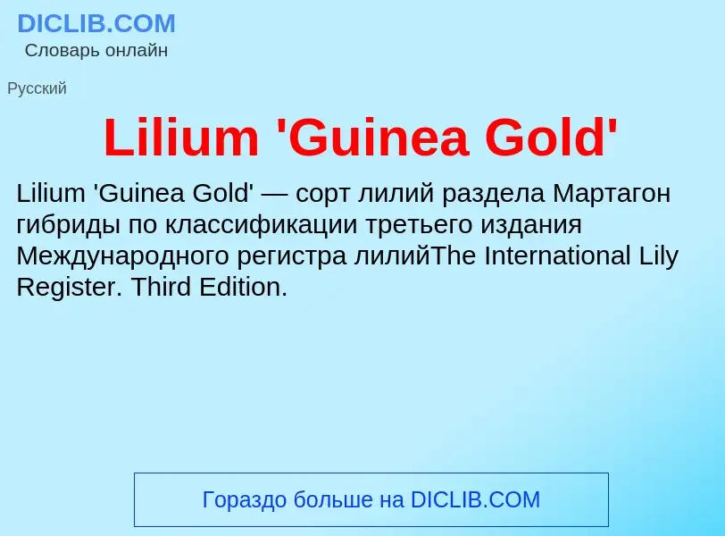 Was ist Lilium 'Guinea Gold' - Definition