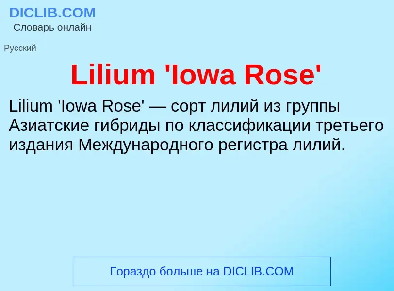 ¿Qué es Lilium 'Iowa Rose'? - significado y definición