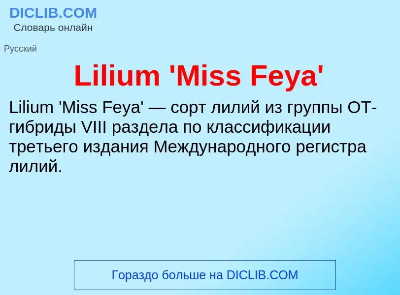 ¿Qué es Lilium 'Miss Feya'? - significado y definición