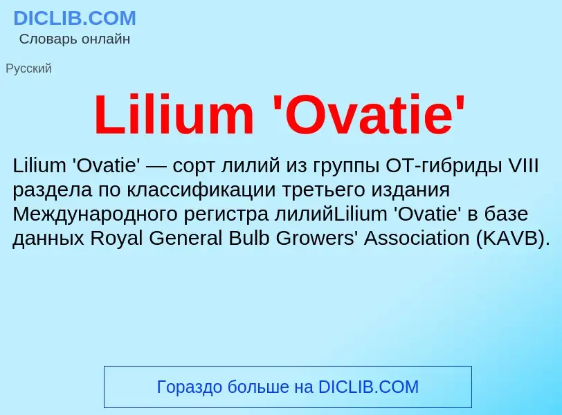 ¿Qué es Lilium 'Ovatie'? - significado y definición