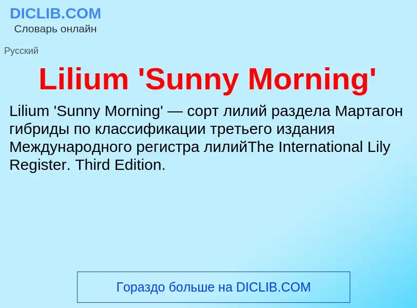 ¿Qué es Lilium 'Sunny Morning'? - significado y definición