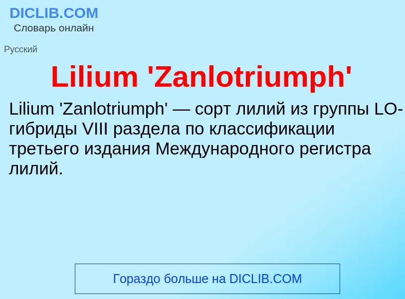 ¿Qué es Lilium 'Zanlotriumph'? - significado y definición