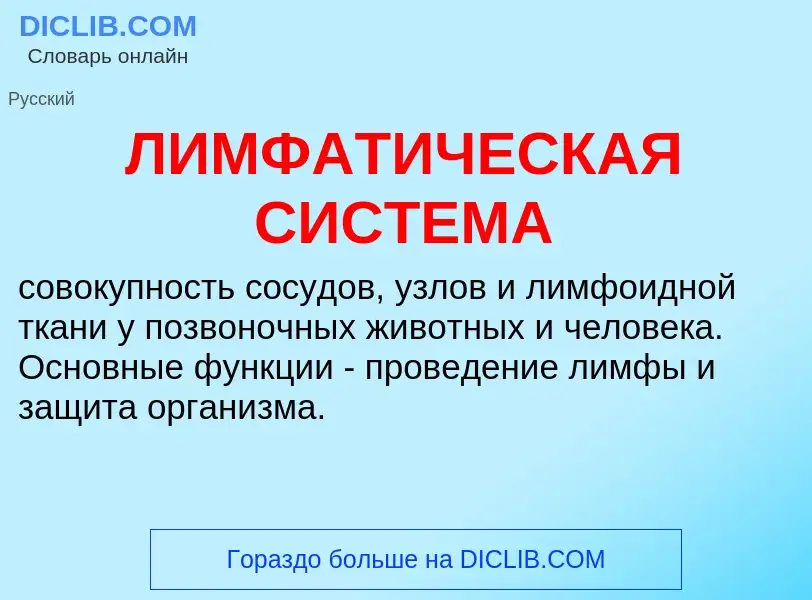 Что такое ЛИМФАТИЧЕСКАЯ СИСТЕМА - определение