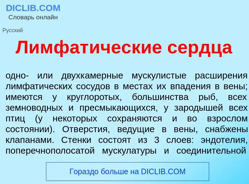 What is Лимфат<font color="red">и</font>ческие сердц<font color="red">а</font> - meaning and definit