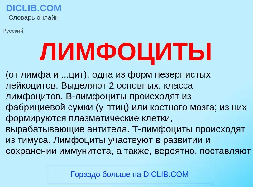 Что такое ЛИМФОЦИТЫ - определение