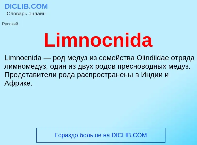 Was ist Limnocnida - Definition