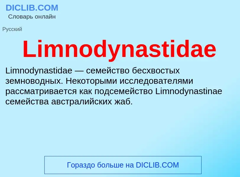 Was ist Limnodynastidae - Definition