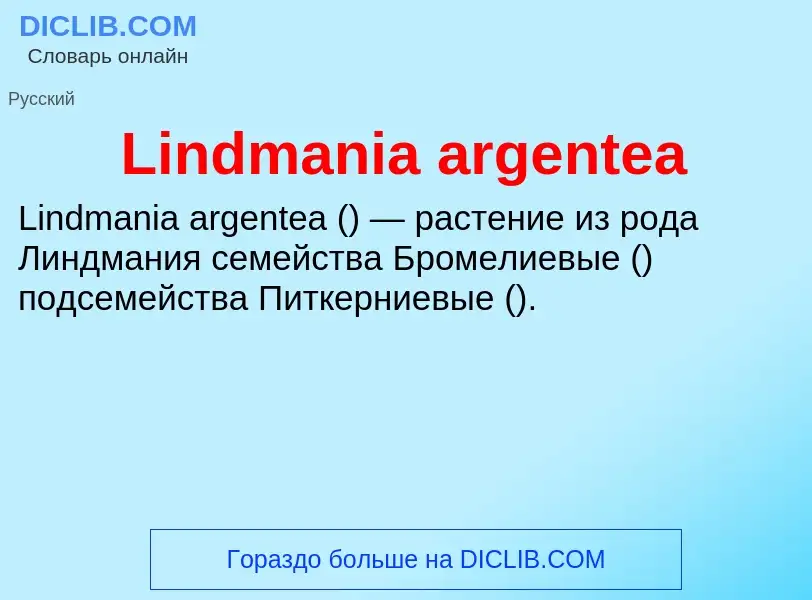 Was ist Lindmania argentea - Definition