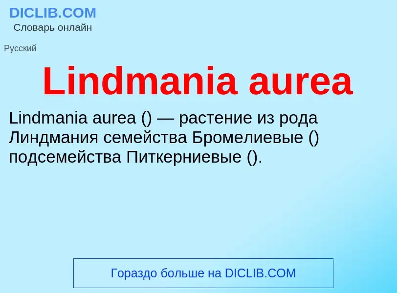 Was ist Lindmania aurea - Definition