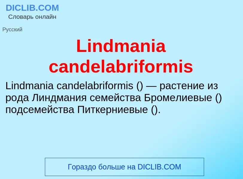 ¿Qué es Lindmania candelabriformis? - significado y definición