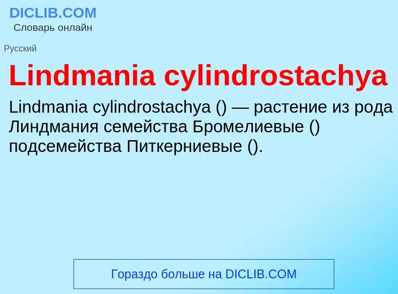 ¿Qué es Lindmania cylindrostachya? - significado y definición