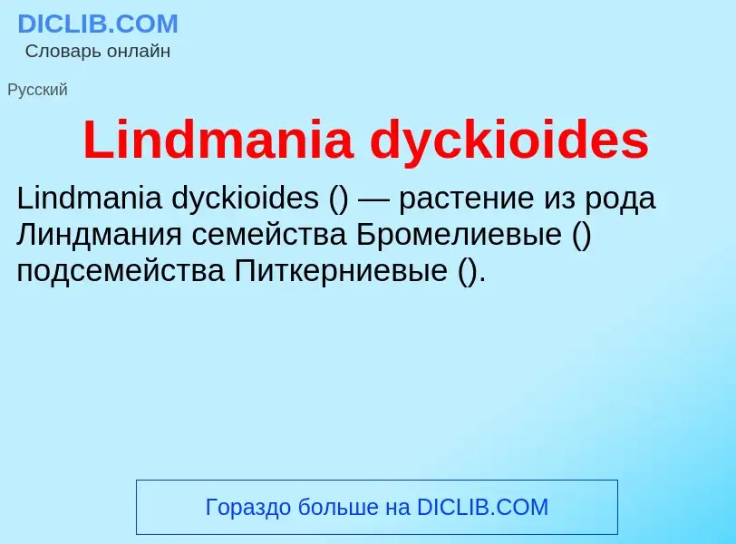 ¿Qué es Lindmania dyckioides? - significado y definición