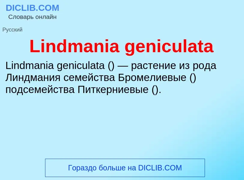 ¿Qué es Lindmania geniculata? - significado y definición