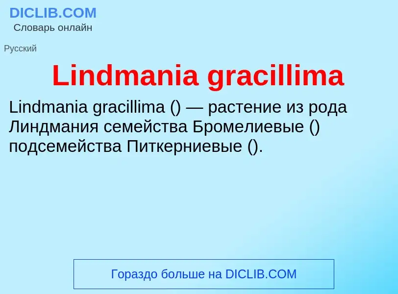 ¿Qué es Lindmania gracillima? - significado y definición