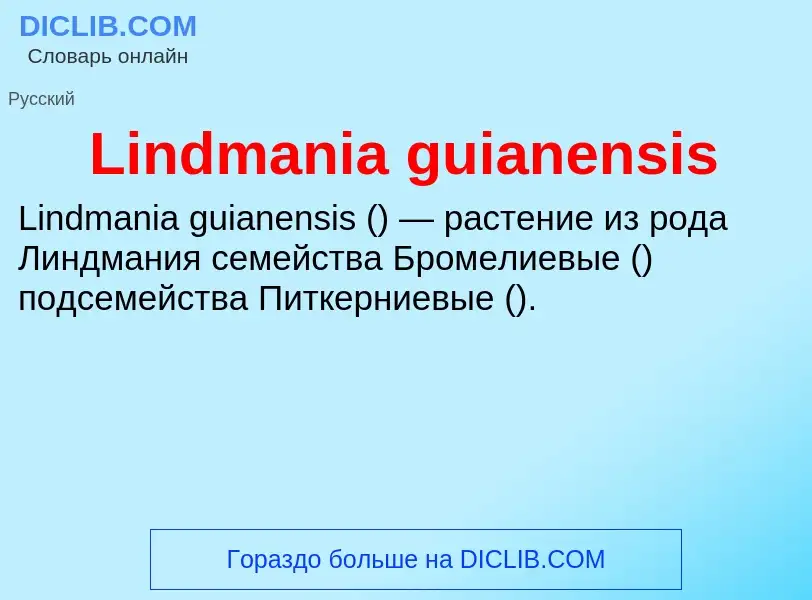 ¿Qué es Lindmania guianensis? - significado y definición