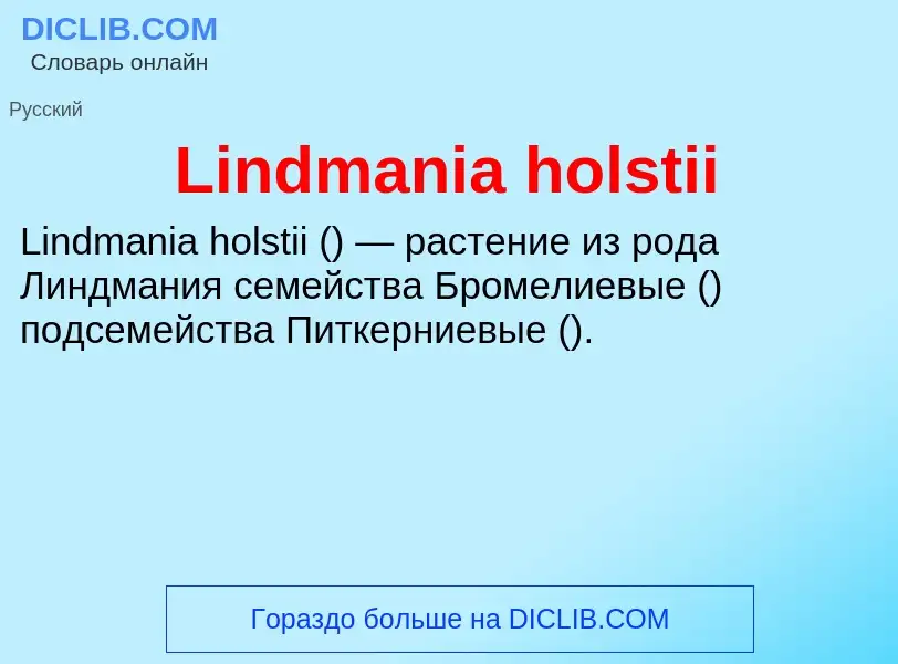 ¿Qué es Lindmania holstii? - significado y definición