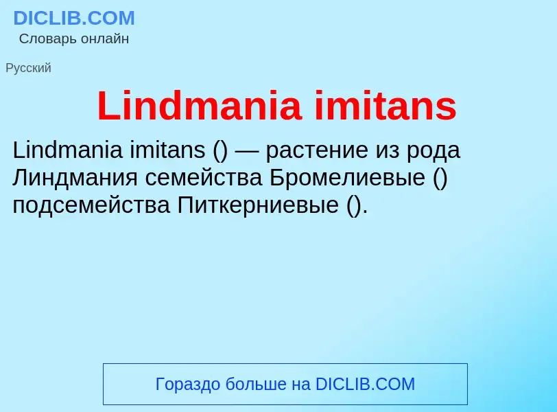 ¿Qué es Lindmania imitans? - significado y definición